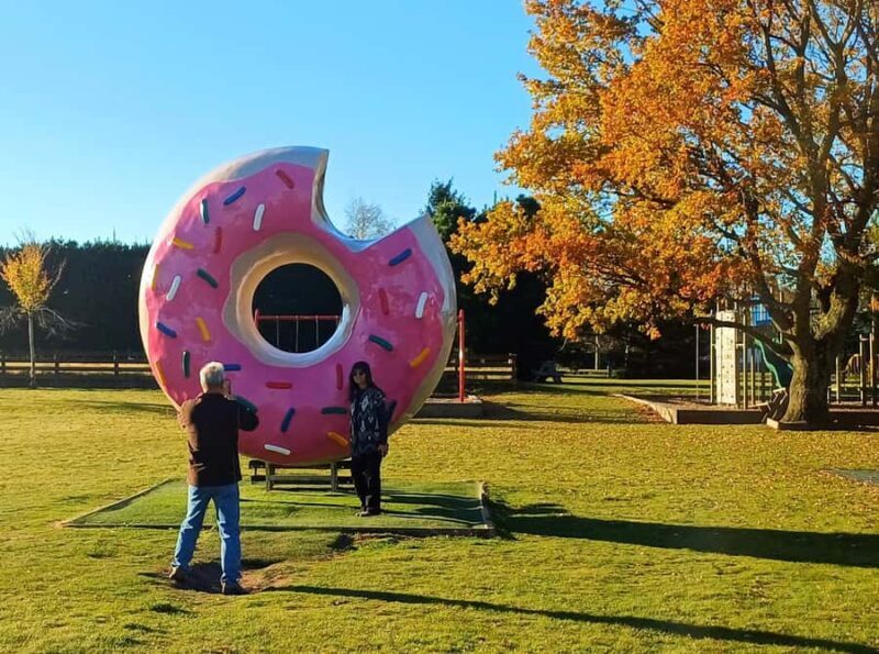 Lyttelton: Shore Excursion, Castle Hill & Inland Canterbury - Key Points
