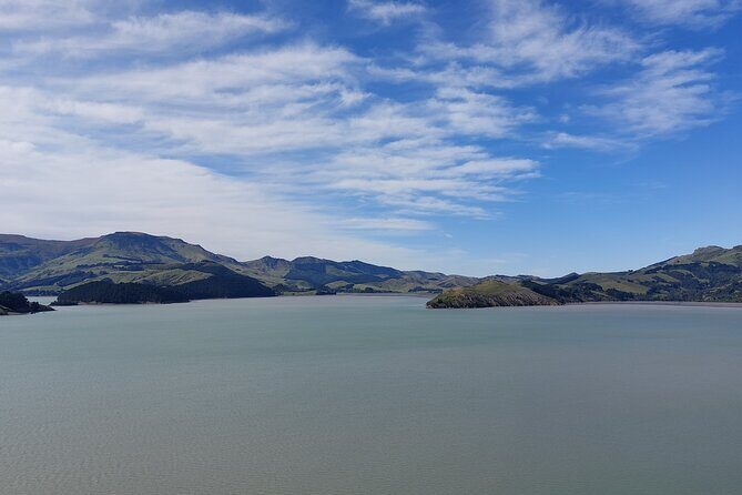 Lyttelton Shore Excursion: Christchurch Sightseeing with Antarctic Center - Pricing and Value