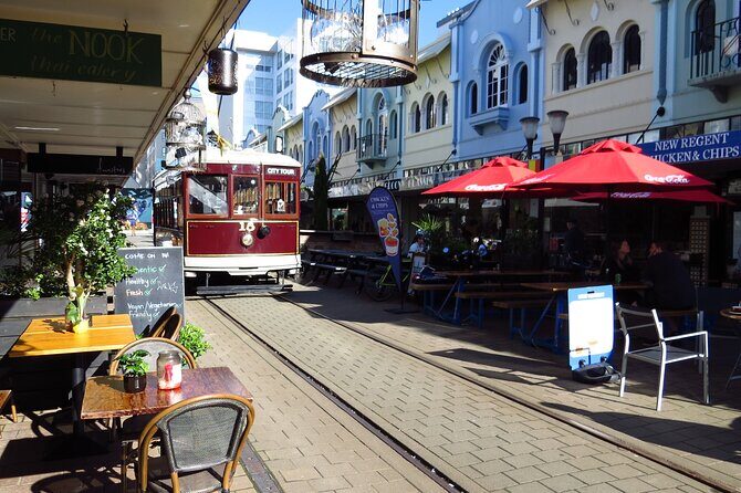 Lyttelton Shore Excursion: Christchurch Sightseeing with Antarctic Center - The Realities: Rushing and Weather