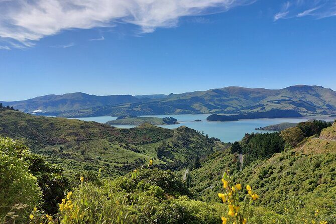 Lyttelton Shore Excursion: Christchurch Sightseeing with Jet Boating - The Sum Up