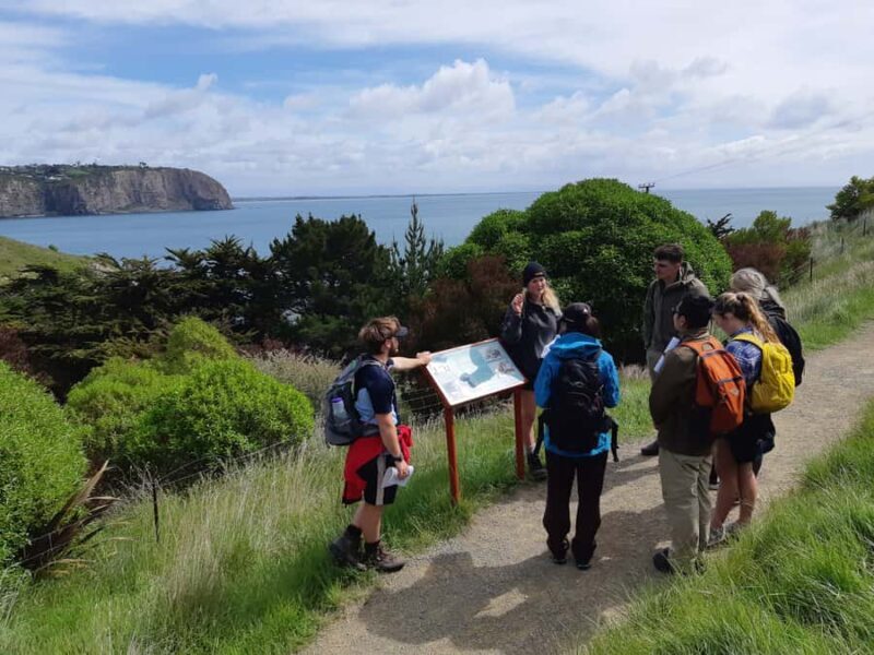 Lyttelton: Shore Excursion, Godley Head, Guided Walk - Key Points