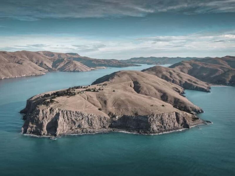 Lyttelton: Shore Excursion, Godley Head, Guided Walk - Starting in Lyttelton: The Quirky Port Town