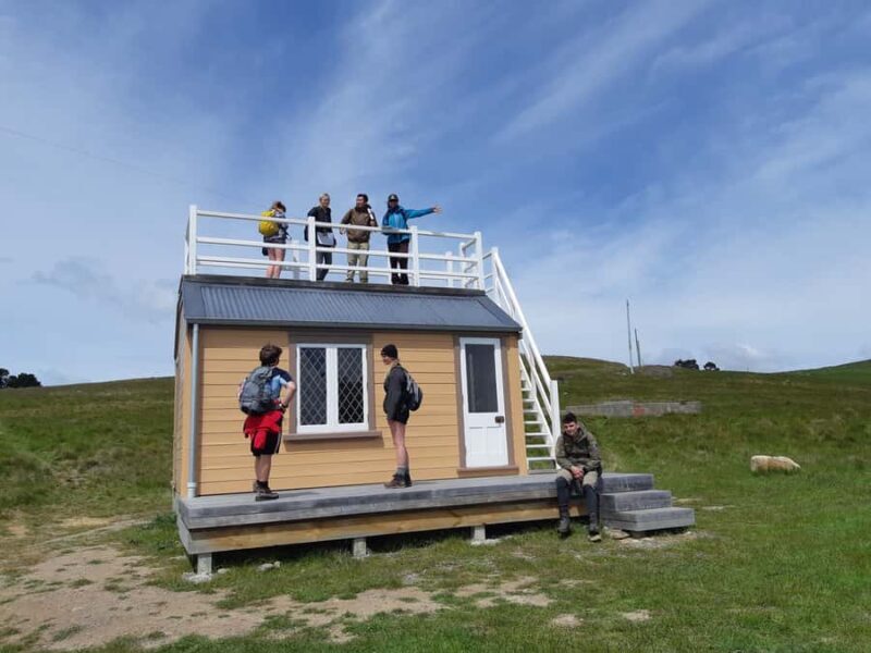Lyttelton: Shore Excursion, Godley Head, Guided Walk - Duration and Walking Details