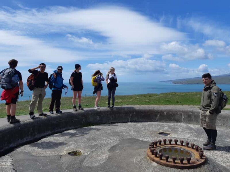 Lyttelton: Shore Excursion, Godley Head, Guided Walk - Pricing and Value