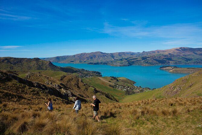 Lyttelton Shore Excursion - Guided Walking Tour and Picnic - What We Love and Consider