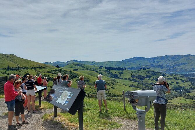 Lyttelton Shore Excursion: Twin Harbour Tour (Lyttelton & Akaroa) - Key Points