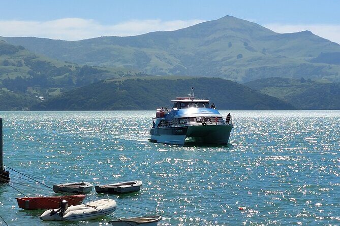 Lyttelton Shore Excursion: Twin Harbour Tour (Lyttelton & Akaroa) - Who Will Love This Tour?