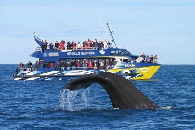 Lyttleton Port Excursion Day Tour 3 options for Cruise travelers - FAQs