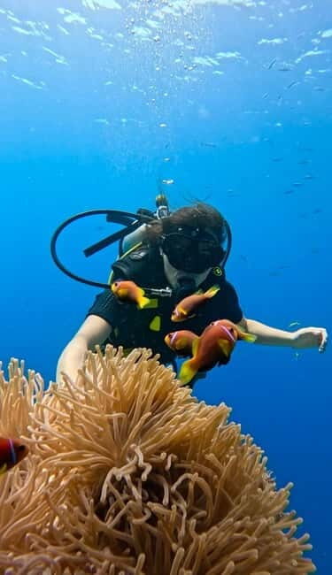 Maafushi: Discover Scuba Diving Class, First Time Experience - What Reviewers Say