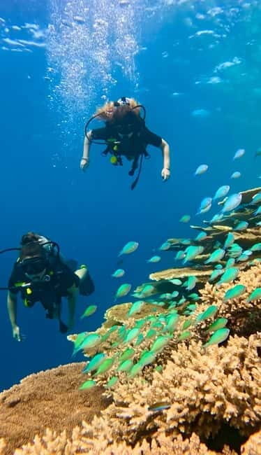 Maafushi: Discover Scuba Diving Class, First Time Experience - Summary: Is This Tour Worth It?