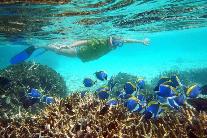 Maafushi: Full Day Snorkeling and Island Hopping Experience - Introduction