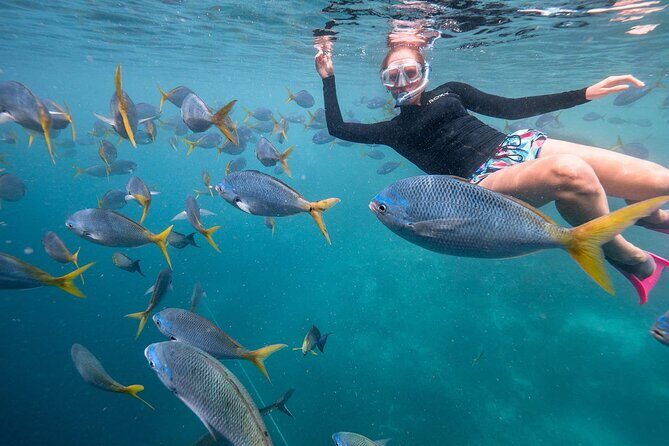 Maafushi: Full Day Snorkeling and Island Hopping Experience - In Closing