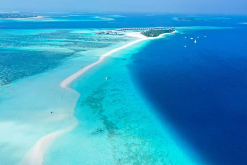 Maafushi: Nurse Sharks, Stingrays, Sand Bank and Dolphins - Key Points