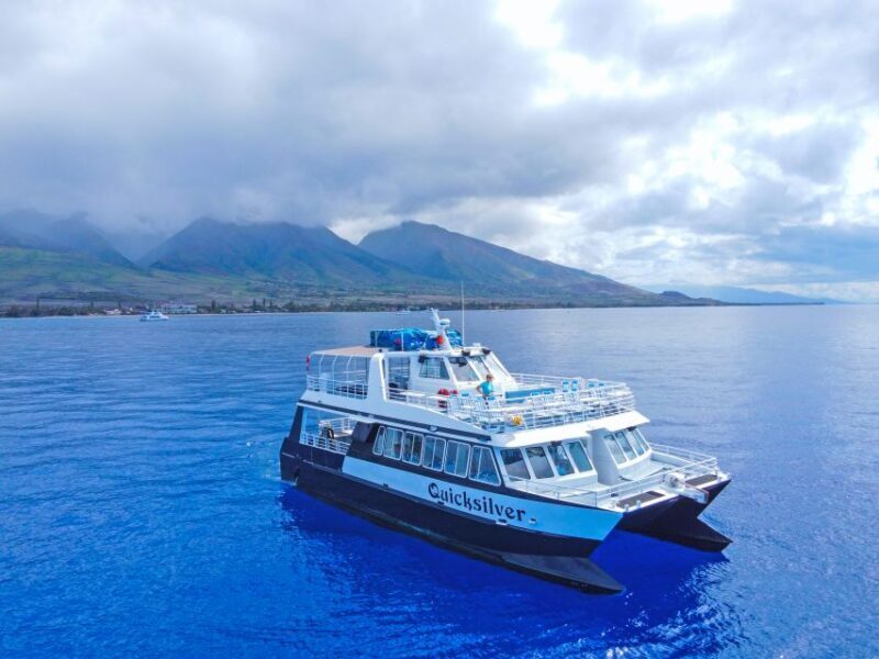 Ma'alaea Harbor: Whale Watching Tour Aboard Power Catamaran - Final Thoughts: Who Will Love This Tour?
