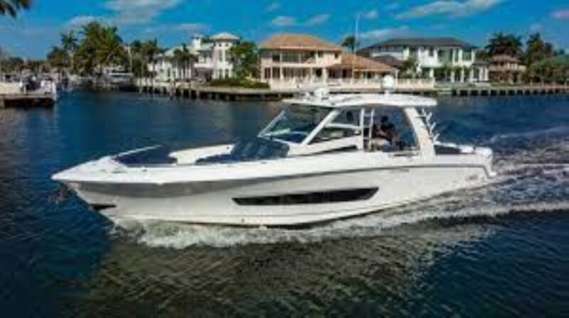Maalaea: Small Group 2-Hour Whale Watch Experience - Who Should Book This Tour?