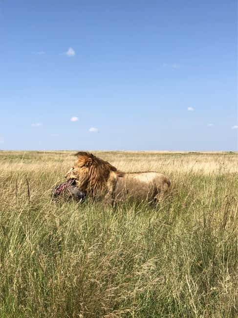 Maasai Mara: 3-Day Camping Safari. AW - Introducing the Maasai Mara 3-Day Camping Safari: Authentic Kenya Adventure