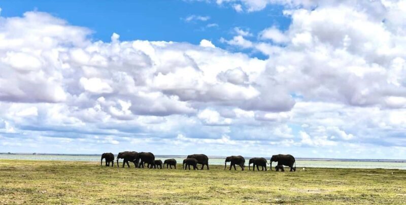 Maasai Mara: 3-Day Camping Safari. AW - Exploring the Itinerary: What to Expect on the Maasai Mara Safari