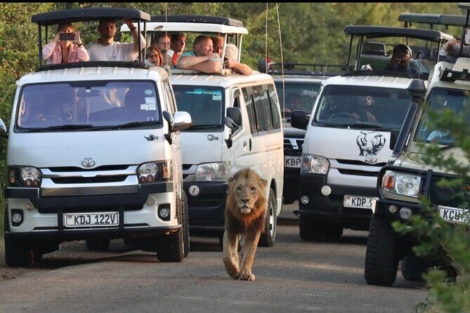Maasai Mara Day Trip - Exploring the Maasai Mara Day Trip in Detail