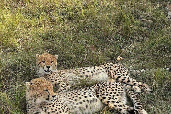 Maasai Mara Day Trip - Final Thoughts