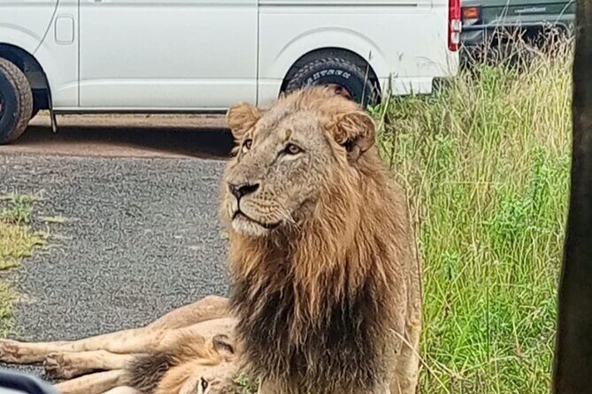Maasai Mara Day Trip - Frequently Asked Questions