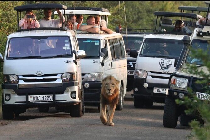 Maasai Mara Day Trip From Nairobi - An In-Depth Look at the Maasai Mara Day Trip