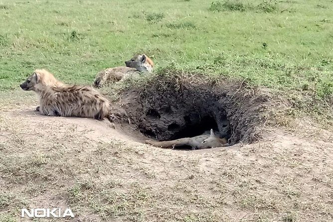 Maasai Mara Game Reserve - Additional Insights from Reviews