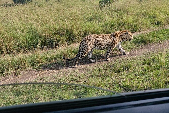 Maasai Mara Safari!! - Key Points