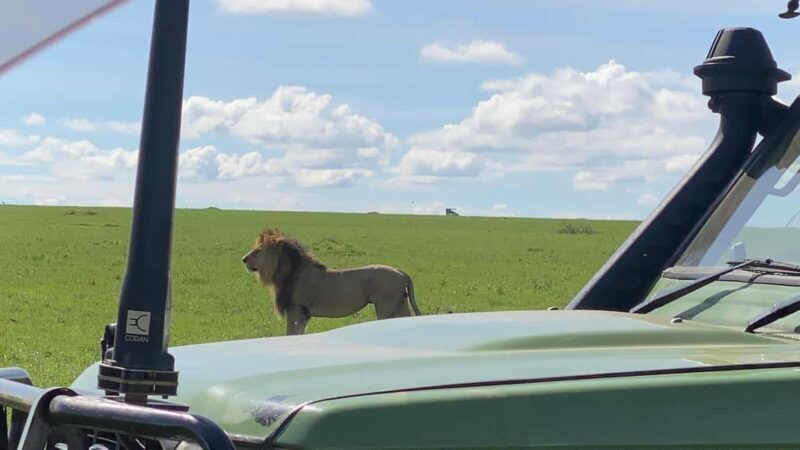 Maasai Mara Wildebeest Migration: 3 Day-Guided Safari - Key Points