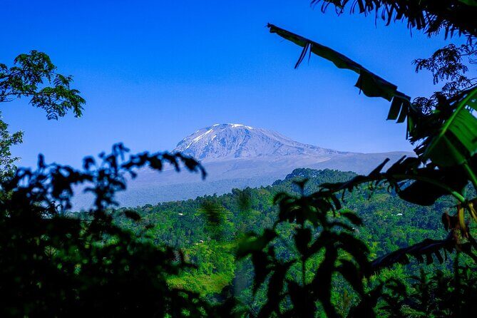 Maasai village visit, Materuni waterfalls & coffee experience - Who Should Consider This Tour?