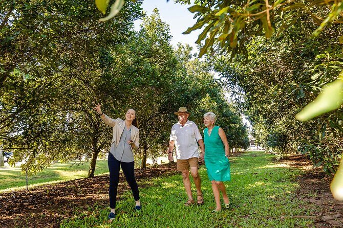 Macadamias Australia Orchard Tour in Bundaberg - The Steinhardt Family Story