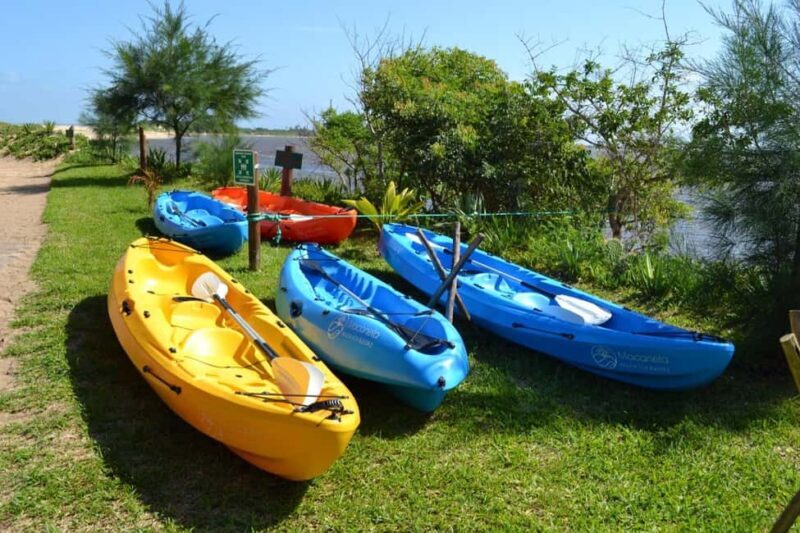 Macaneta Beach: Kayak Tour to the Incomati River Islands - Key Points
