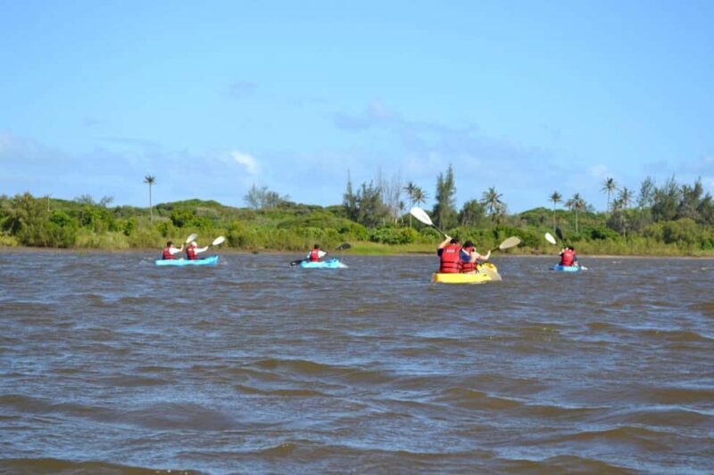 Macaneta Beach: Kayak Tour to the Incomati River Islands - What to Expect During the Tour