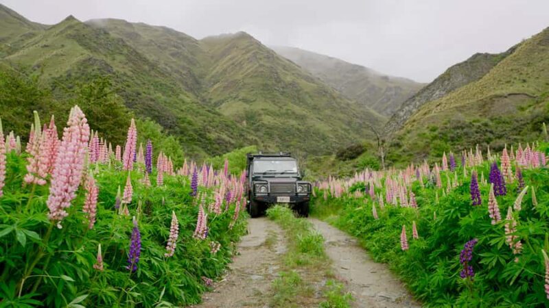 Macetown: Gold Heritage 4WD Full Day Tour from Queenstown - Key Points