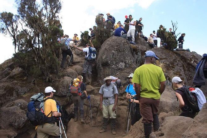 Machame Route 6 days 5 Nights/Kilimanjaro Climb - Who Should Consider This Tour?