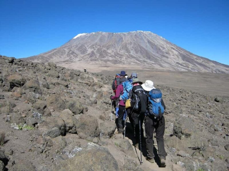 Machame Route 6 Days Trekking Kilimanjaro - Frequently Asked Questions