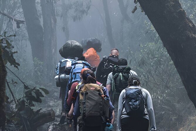 Machame Route 7-Day Private Kilimanjaro Trek - Who This Tour Is Best For