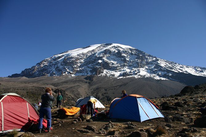 Machame Route 7 Days 6 Nights /Kilimanjaro Climb - Overview of the Machame Route Experience