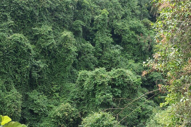 machame route - Who Will Love This Experience?