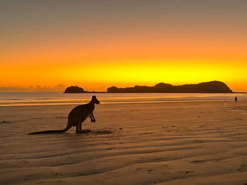 Mackay: 2-Day Adventure Package w/Accomm, Transfers & Tours - Who Would Enjoy This Tour?