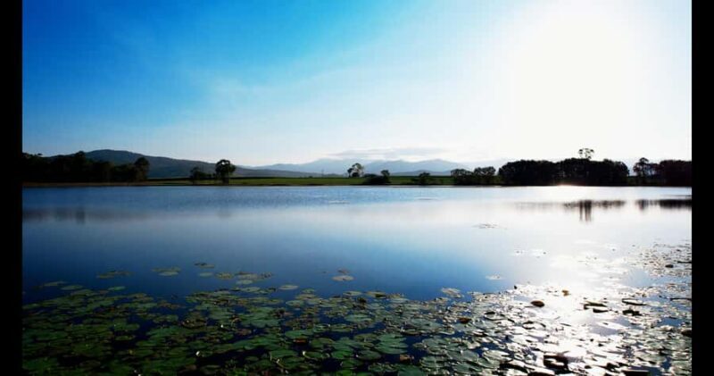 Mackay: 3 Hour Sugarcane Farm Tour - What to Expect from the Tour