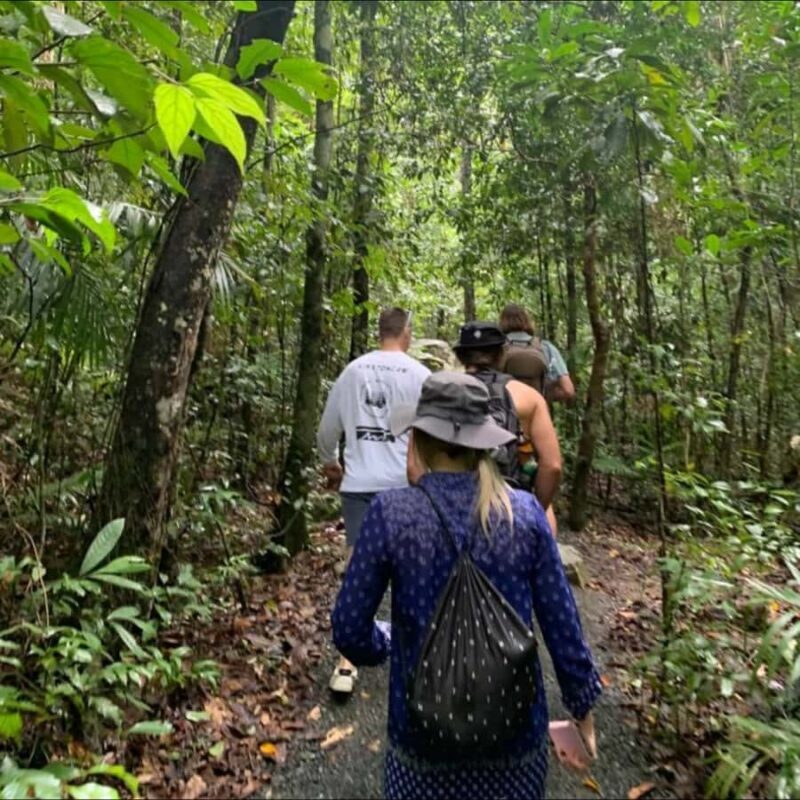 Mackay: Finch Hatton Gorge Hike, Swim & Platypus Adventure - Introduction