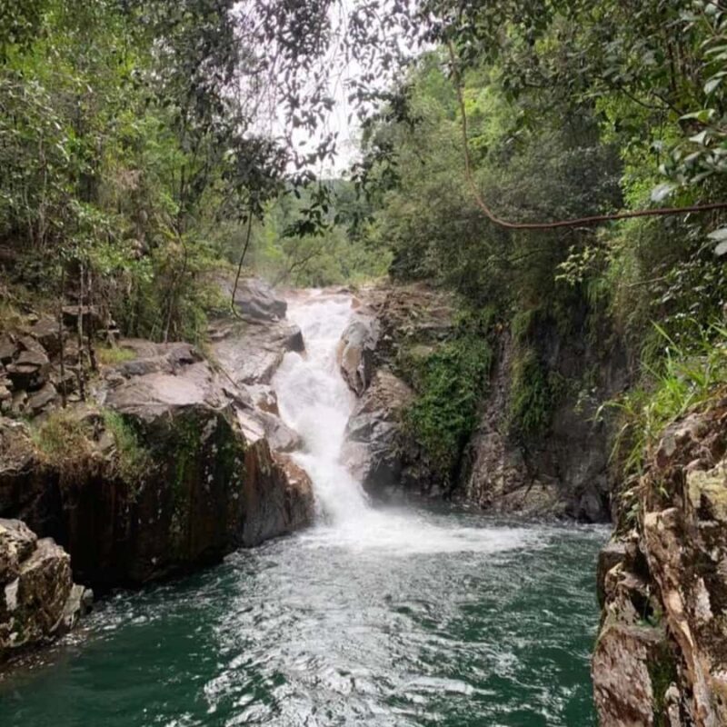 Mackay: Finch Hatton Gorge Hike, Swim & Platypus Adventure - Key Points