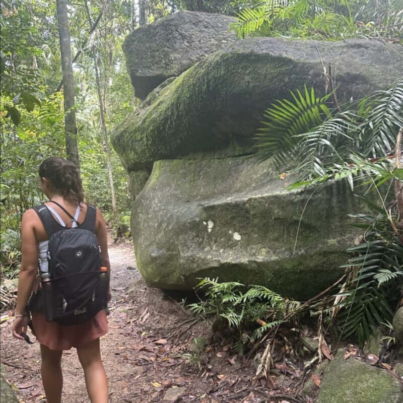 Mackay: Finch Hatton Gorge Hike, Swim & Platypus Adventure - The Practical Details