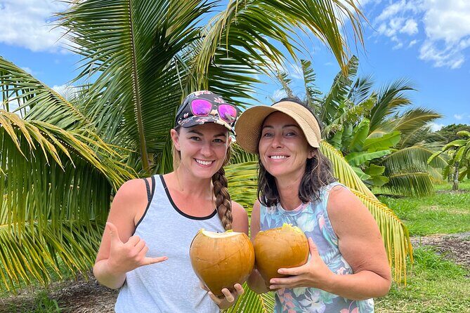 Macnut Tour, Picnic lunch and Maui Bees - A Close Look at the Macnut Tour, Picnic Lunch, and Maui Bees Experience