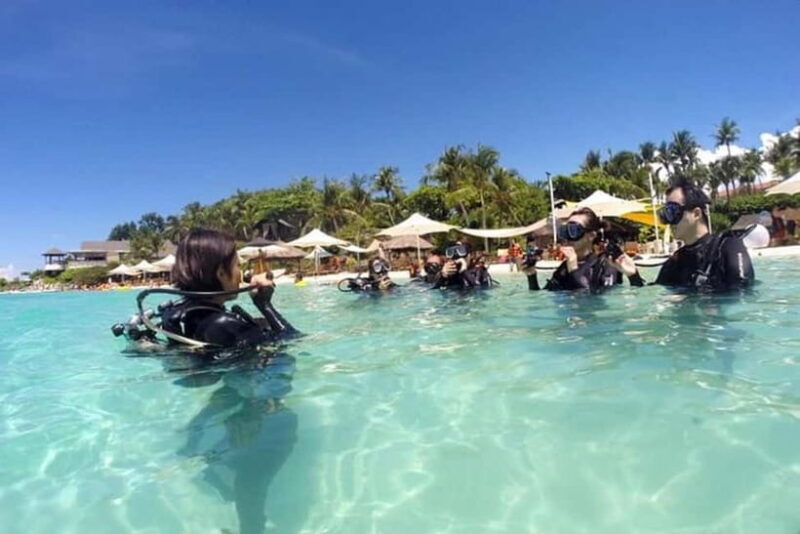 Mactan: PADI Open Water Diver Certification Course - Key Points