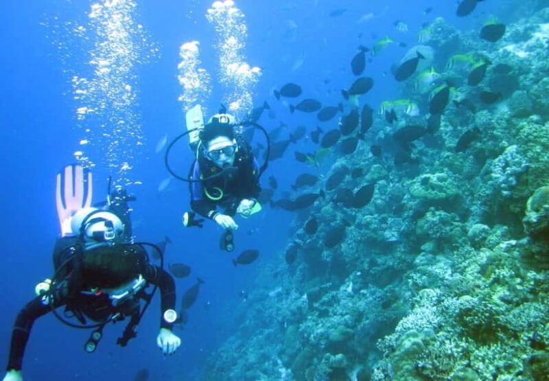 Mactan: PADI Open Water Diver Certification Course - Final Thoughts