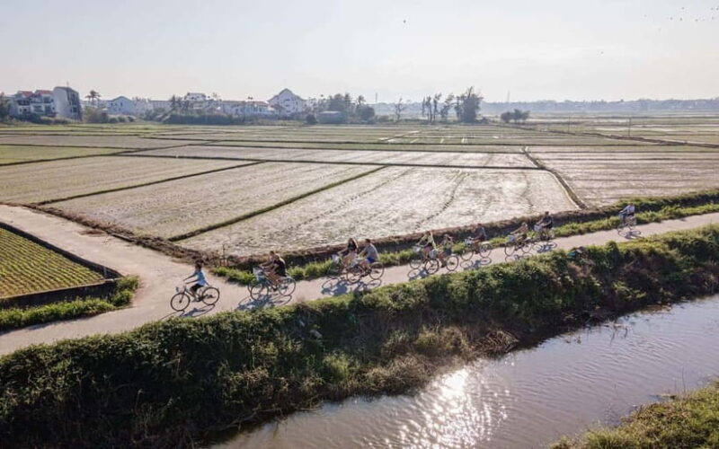 Mad Monkey Hoi An: Bicycle Tour - An In-Depth Look at the Tour Experience
