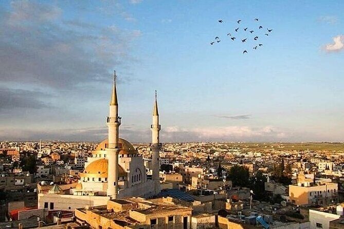 Madaba and Mount Nebo tour from Amman - Pricing and Value