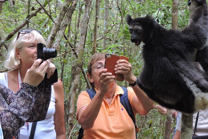 Madagascar in 7 days. Wildlife Expedition and Culture Immersion - Key Points