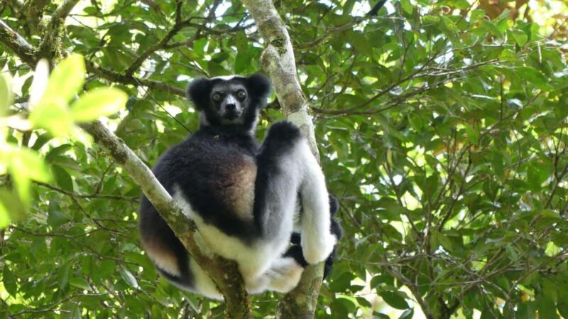 Madagascar: Nature and Discovery Tour - Key Points